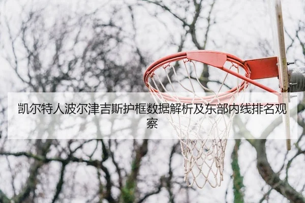 凯尔特人波尔津吉斯护框数据解析及东部内线排名观察